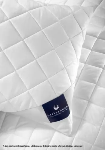 Billerbeck Chantal középpárna, funkcionális szál töltettel, 50x70 cm
