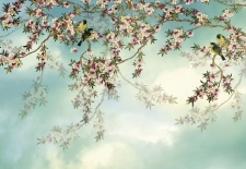Sakura, 8 részes poszter, Offset 8-213